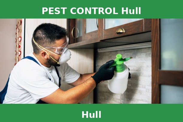 PEST CONTROL Hull